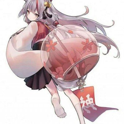 成都店主给鸟搭吊床